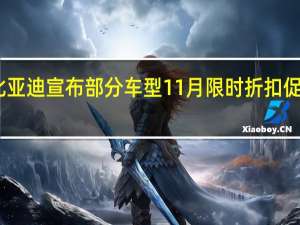 比亚迪宣布部分车型11月限时折扣促销措施