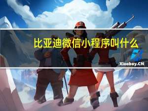 比亚迪微信小程序叫什么