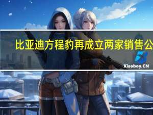 比亚迪方程豹再成立两家销售公司