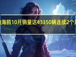比亚迪海鸥10月销量达43350辆连续2个月月销超4万