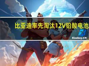 比亚迪率先淘汰12V铅酸电池：10年可为车主省下2000元