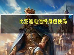 比亚迪电池终身包换吗