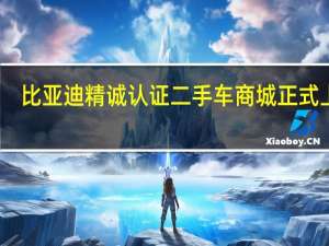 比亚迪精诚认证二手车商城正式上线