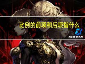 比例的前项和后项指什么