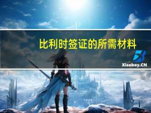 比利时签证的所需材料