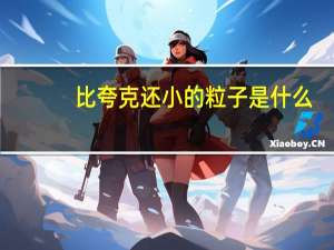 比夸克还小的粒子是什么