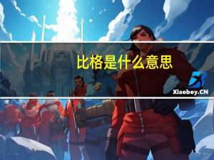 比格是什么意思