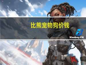 比熊宠物狗价钱