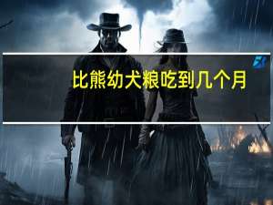 比熊幼犬粮吃到几个月