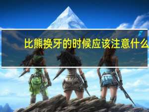 比熊换牙的时候应该注意什么