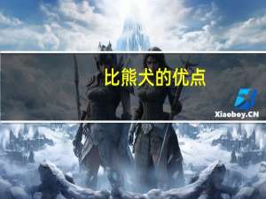 比熊犬的优点