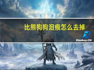 比熊狗狗泪痕怎么去掉