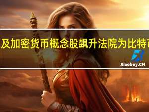 比特币以及加密货币概念股飙升法院为比特币ETF扫清障碍
