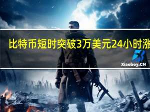 比特币短时突破3万美元24小时涨幅1.8%