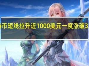 比特币短线拉升近1000美元一度涨破33000美元/枚关口