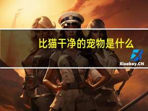 比猫干净的宠物是什么