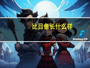 比目鱼长什么样