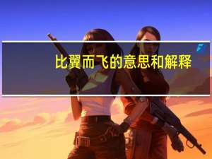 比翼而飞的意思和解释（比翼而飞的意思）