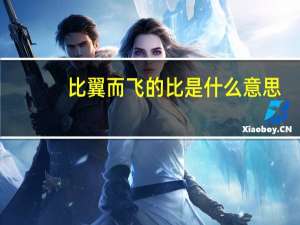 比翼而飞的比是什么意思