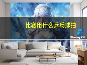 比赛用什么乒乓球拍