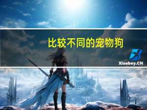 比较不同的宠物狗