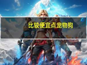 比较便宜点宠物狗