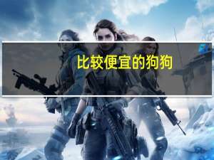 比较便宜的狗狗