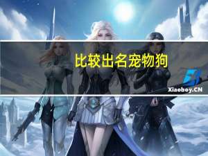 比较出名宠物狗