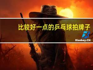 比较好一点的乒乓球拍牌子
