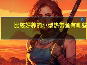 比较好养的小型热带鱼有哪些