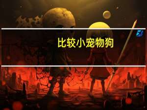 比较小宠物狗
