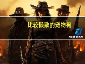 比较懒散的宠物狗