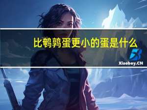 比鹌鹑蛋更小的蛋是什么