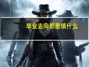 毕业去向都是填什么