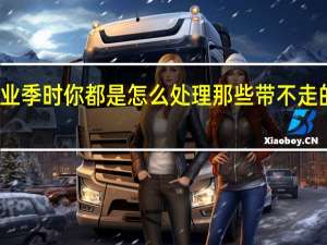 毕业季时你都是怎么处理那些带不走的物品的