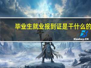 毕业生就业报到证是干什么的