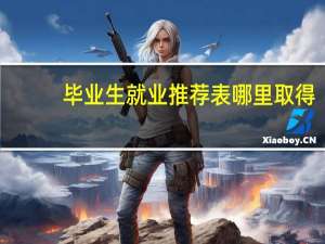 毕业生就业推荐表哪里取得