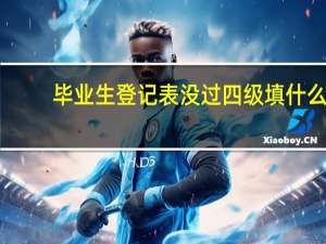 毕业生登记表没过四级填什么