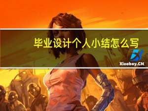 毕业设计个人小结怎么写