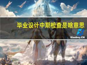 毕业设计中期检查是啥意思