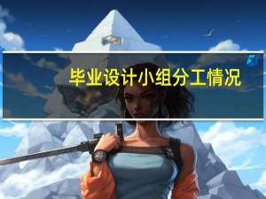 毕业设计小组分工情况