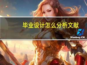 毕业设计怎么分析文献