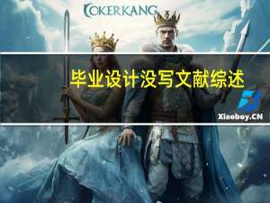 毕业设计没写文献综述