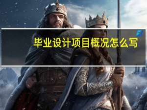 毕业设计项目概况怎么写