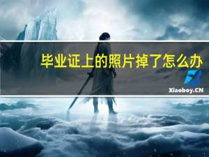 毕业证上的照片掉了怎么办