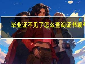 毕业证不见了怎么查询证书编号