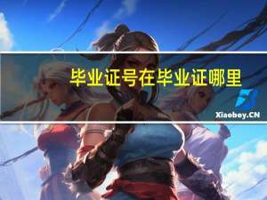 毕业证号在毕业证哪里