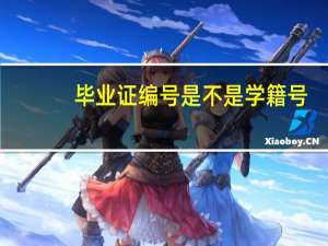 毕业证编号是不是学籍号