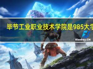 毕节工业职业技术学院是985大学吗