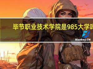 毕节职业技术学院是985大学吗